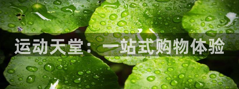 fb体育招商电话地址是多少:运动天堂:一站式购物体验