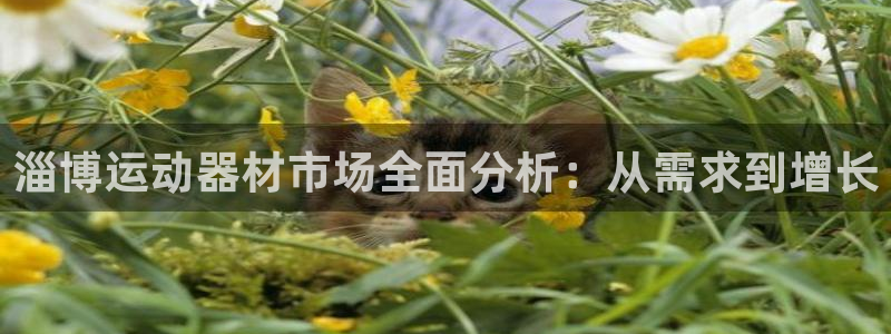 海南fb体育发展怎么样:淄博运动器材市场全面分析:从需求到增